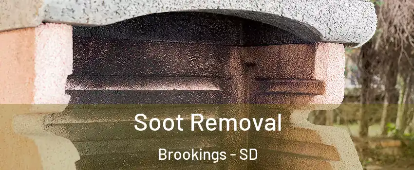  Soot Removal Brookings - SD